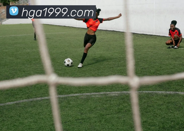 奖项证书